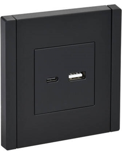 Розетка IEK Forte&Piano FP-U22-D31-K02 Iek