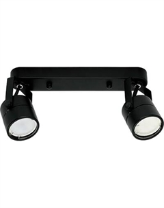 Спот Truenergy 21352