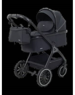 Детская универсальная коляска Rant Basic Terra 2 в 1 / RA163