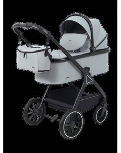 Детская универсальная коляска Rant Basic Terra 2 в 1 / RA163