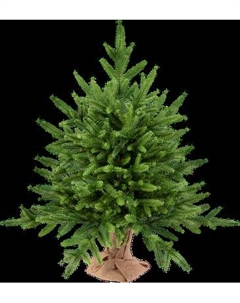Ель искусственная Царь елка Инфинити / ИнФ-60