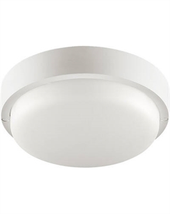 Светильник ЖКХ Wolta LCL04-12W-R21-6K-SM