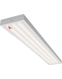 Панель светодиодная Wolta ДПО13-54-142-4К