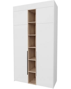 Шкаф Рэйгрупп Рэй S262-В4-EBЕ В4