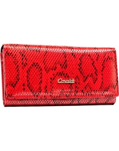 Портмоне Cedar 4ucavaldi PX24-DNH-BL-2267