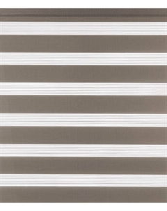 Рулонная штора Jalux День-Ночь Софт s 6 56x160