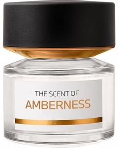 Парфюмерная вода BMW Fragrances Amberness Bmw fragrances