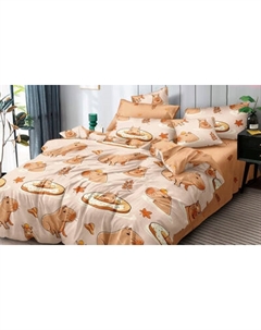 Комплект постельного белья LUXOR №F 77024 A/B N 2сп с европростыней Luxor