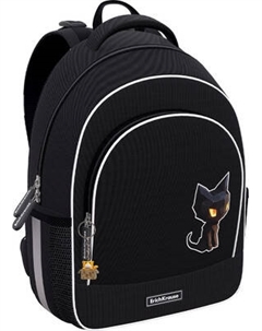 Школьный рюкзак Erich Krause ErgoLine 15L CatPix / 64928 Erich krause