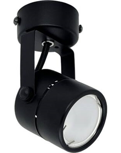 Спот Truenergy 21345