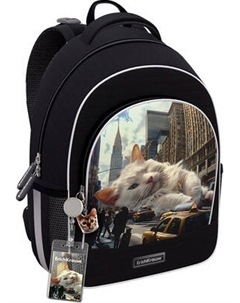 Школьный рюкзак Erich Krause ErgoLine 15L Big City Cats / 62802 Erich krause