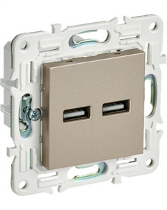 Розетка IEK Skandy SK-U21-D31-K37 Iek