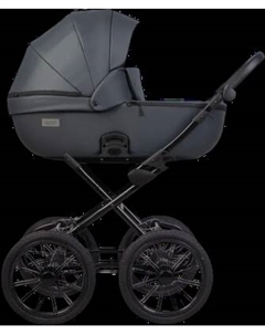 Детская универсальная коляска Riko Montana X Ecco Prestige 2 В 1 Basic