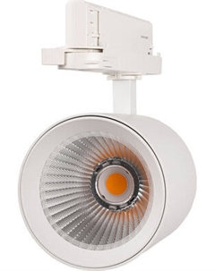 Трековый светильник JAZZway 3P PTR 7030 30Вт 3000К WH IP40 / 5062733 Jazzway