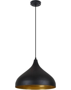 Потолочный светильник Arte Lamp A7076SP-1BK Arte lamp