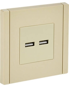 Розетка IEK Forte&Piano FP-U21-D31-K10 Iek