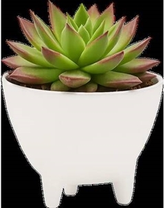 Кашпо BOTANICA Step Botanica