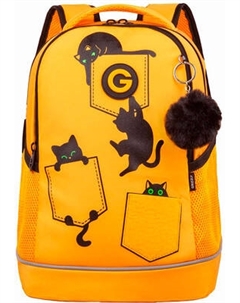 Школьный рюкзак Grizzly RG-663-2