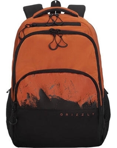 Школьный рюкзак Grizzly RU-630-2