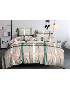 Комплект постельного белья Бояртекс № 1209-8 (И) (N) 2сп с европростыней