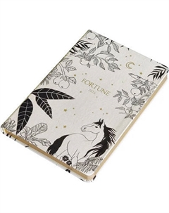 Ежедневник InFolio Fortune 2026 / I1723 Infolio