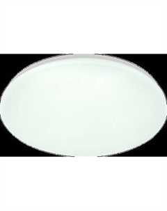 Потолочный светильник ESCADA 10213/SG LED Escada