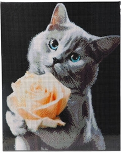 Набор алмазной вышивки Школа талантов Котенок с розой / 9929698