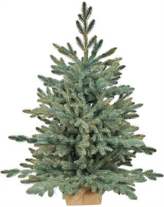 Ель искусственная National Tree Company Рождественская Премиум 90см / РД/ПР-ГЛ-90 National tree company