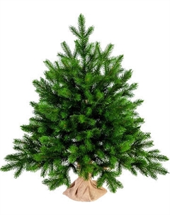 Ель искусственная Царь елка Астерия премиум 60см 3D АСТР/ПР-60