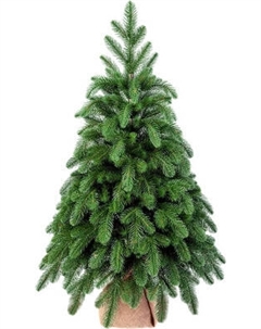 Ель искусственная Царь елка Афродита / АФР-90