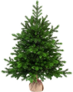 Ель искусственная Царь елка Астерия премиум 90см 3D АСТР/ПР-90