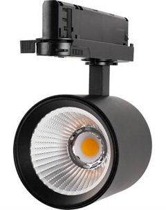 Трековый светильник JAZZway 3P PTR 7020 20Вт 4000К BL IP40 / 5062436 Jazzway