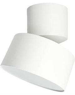 Спот Truenergy 11511