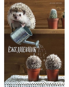 Ежедневник Эксмо для людей и ежей