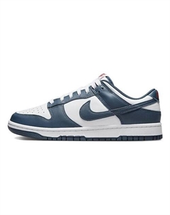 Кроссовки для треккинга Dunk Low Valerian Nike