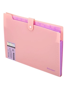 Папка-органайзер на кнопке Extra А4 Brauberg