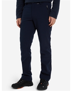 Брюки утепленные мужские Bouton, Синий Icepeak
