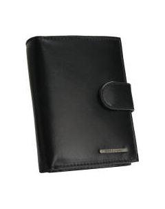 Портмоне Bellugio AM-21R-073