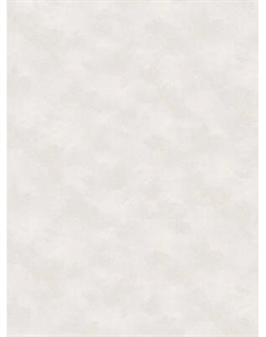 Виниловые обои Аспект 70655-21