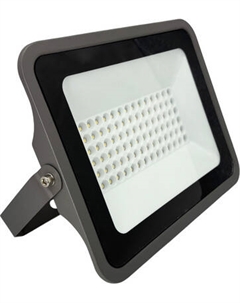 Прожектор Truenergy 13116