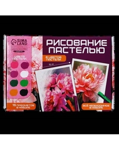 Набор для рисования Школа талантов Рисование пастелью. Пионы / 10291584