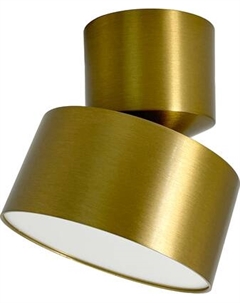 Спот Truenergy 11512