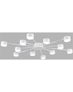 Люстра Lumion Torina 8343/12C