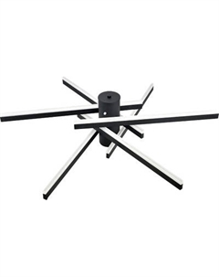 Потолочный светильник Rivoli Violet 6180-201 / Б0068479