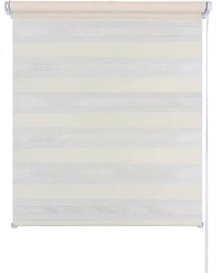 Рулонная штора Jalux День-Ночь Софт s 5 70x160