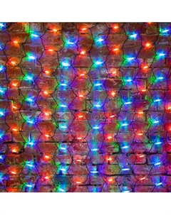 Светодиодная сеть Neon-Night 217-119 Neon-night