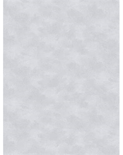 Виниловые обои Аспект 70655-42