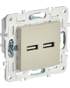 Розетка IEK Skandy SK-U21-D31-K10 Iek