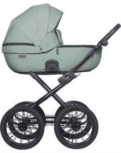 Детская универсальная коляска Riko Montana X Ecco Prestige 2 в 1 Basic 21
