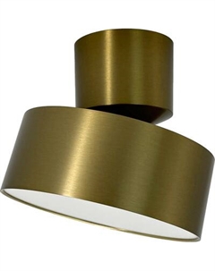 Спот Truenergy 11517